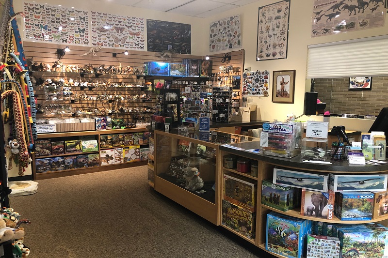 Homepage 4 Bubbles Thumbnails